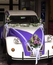 Blumengeschäft B. Ryffel Crea - Zone