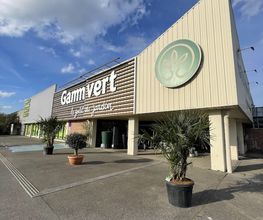 GAMM VERT image 11