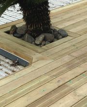 Ribera Olivier Paysages image 9