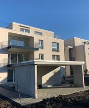 Isogips Leo AG Bild 3