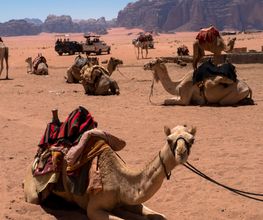 Nura Voyages image 10