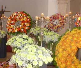 Blumen Fleischli Bild 10