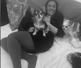 CoBe Dog Bild 1