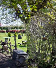 Hôtel Restaurant Au Lion d'Or image 4