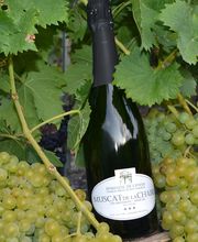 Domaine de l'Enfer, Roten Diego