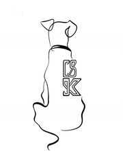 CS - K9 Hundezentrum Bild 1