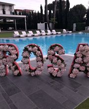 Gallery Cliente