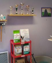 Le Chien Roi image 1