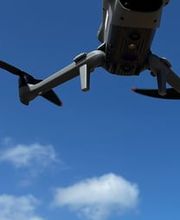 Vivaro Producciones S.L. imagen 7