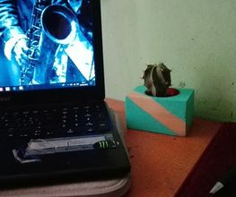 Floristería Manuela imagen 20