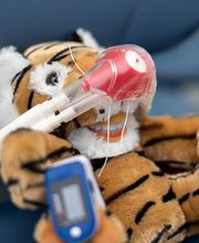 KINDERDENTIST-Praxis Potsdam Bild 5