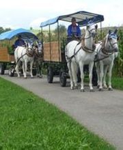 Köchli Heinrich Bild 3