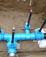 Vögeli Michael Bild 1