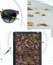 Producten uit zeewier