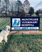 Montpelier Veterinary Hospital image 2