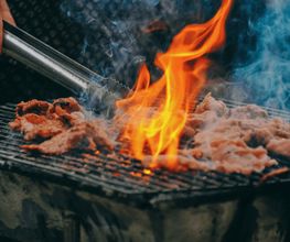 Hot n Smokey BBQ Bild 7