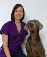 Clinique vétérinaire PK3 image 1