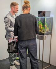 AquaHarmonie Bild 4