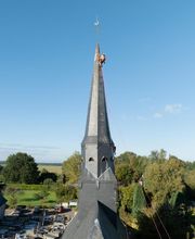 Acrobat image 4