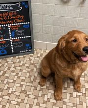 Town & Country Veterinary Clinic image 6
