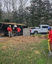 Southeast Tree image 3