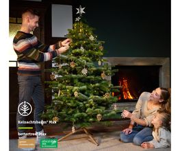 bettertree | Your alternative Christmas tree Bild 4