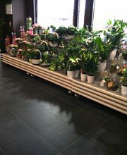 Carrément Fleurs - Fleuriste Clermont-Ferrand 63 - Livraison de fleurs à domicile image 4