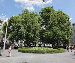 Immobilien Verwaltung und Bewirtschaftung | LIVEG | Zürich und Umgebung Bild 4
