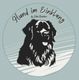 Hund im Einklang by Julia Berchim