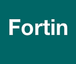 Fortin image 1
