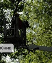 Der Baummarder, Schwethelm Bild 8