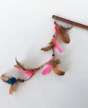 Les accessoires de Daisy image 9