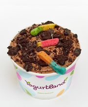 Yogurtland Las Vegas image 1