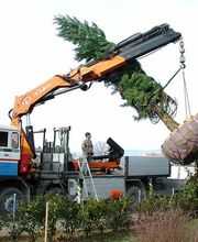 Les Artisans de L'Arbre Sarl Bild 8