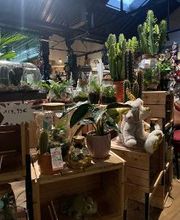 Bricomarché Pont-À-Mousson image 6