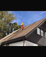 WhatsApp Image 2026-02-17 at 13.28.04.jpeg