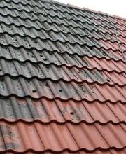 Wiss Christophe image 6