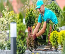 Jardiniers SAP Lorgues image 2