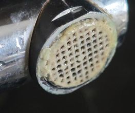 Watercam image 2