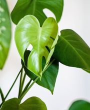 Marion Thierl Bild 14