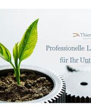 Thieringer Consulting Bild 1