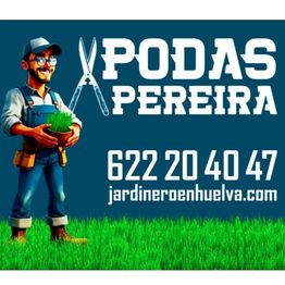 Podas y talas en altura, podas de palmeras, PODAS PEREIRA