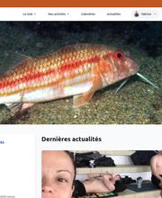 Alré Web image 3