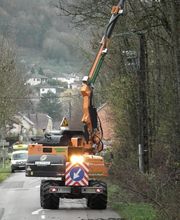 Sarl Pierrot Elagage image 5