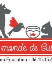 Le Monde de Sultan image 5