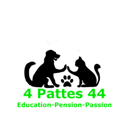 4pattes44