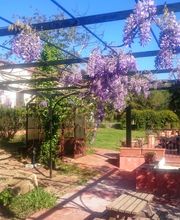 David et Mathis image 6