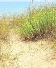 Les Jardins Du Bord De Mer image 1