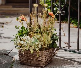 Blumen Schweizer Bild 11