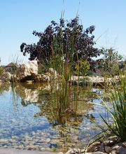 Bösiger Gartenbau AG Bild 10